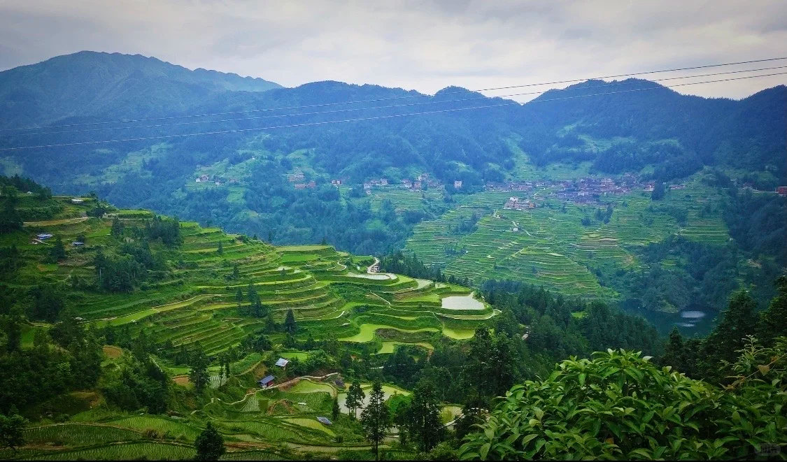 �����䣺�������������˵����ε���